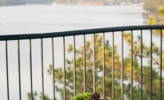 Romeo Juliet Dalat Resort