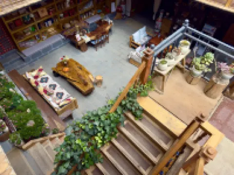 Laoxiong Home·Life Light Luxury Holiday Oxygen Supply Meisu