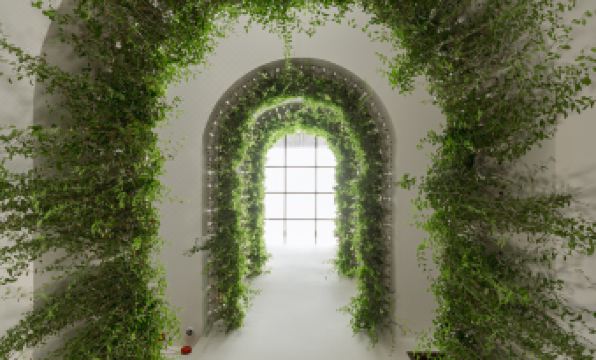 Panda Garden Hotel &Apartment