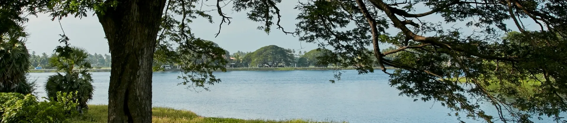Khách sạn cao cấp
