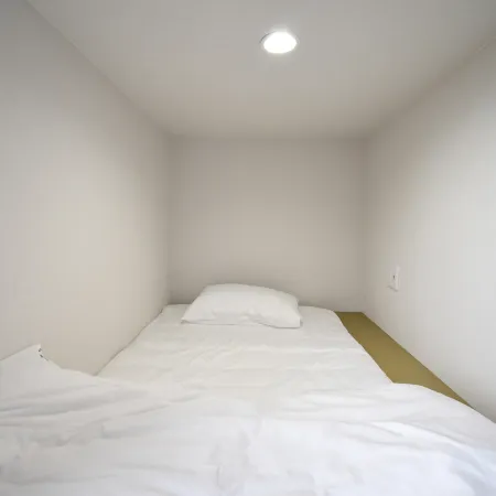 HOTEL WINDS ASAKUSA Capsule Inn