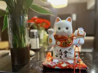 ECHO LI ESPORTS - เปิดใหม่