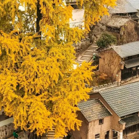 Xinchang Xiao Pi Jiang 1988 HOTEL