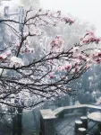 衡陽雲汐南野民宿（南嶽衡山南嶽大廟店） - 山景