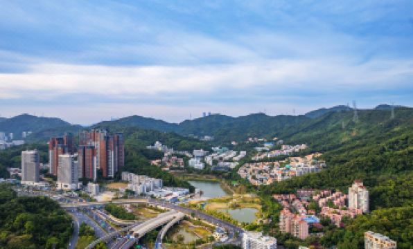 Tengyu Executive Mansion (Shenzhen Sports Center Yinhu Subway Station)