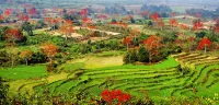 Hainan Universal QiziBay Beach Hotel - Mountain View