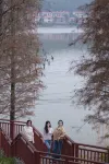 恵州白鷺湖悟行雅舍ホテル - マウンテンビュー