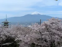 東鄉海灘邊的私人房間 - 山景