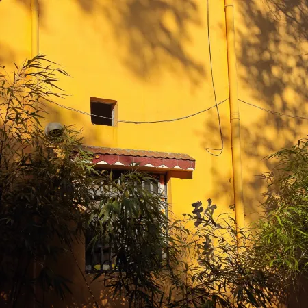 Leisure Wild Abode
