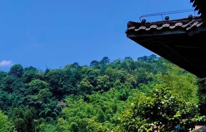 Hejiang Banshan Yunshe