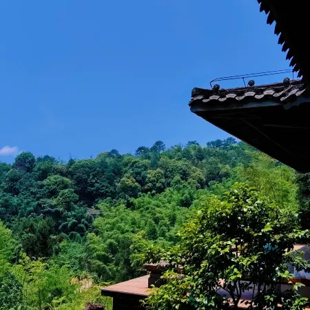 Hejiang Banshan Yunshe Отели в г. Хэцзиян