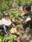 Lijiang Jinsheng Youli Homestay (Sanyi Airpor Lijiangt) - Pet-friendly