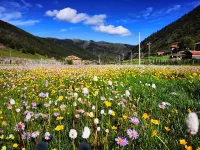 Kangding Player Inn