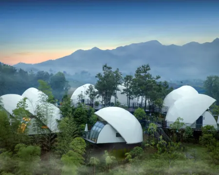 Anhua Meishan Starry Sky Wild Luxury Homestay Hotels in Anhua