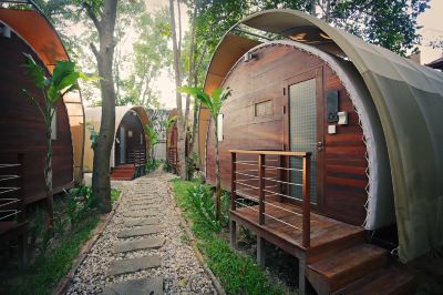 ジャングルー テンプレーション ホテルの写真