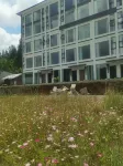 Huangshui Huahai Senlin Boutique Homestay