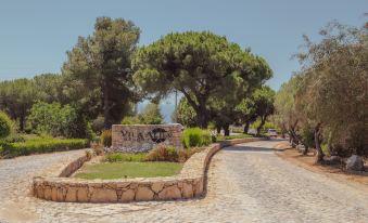 a road surrounded by trees and grass , with a sign on the side of the road at Vila Alba Resort