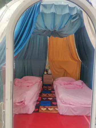 Tal Flowers will always be like this Red Farm Inn