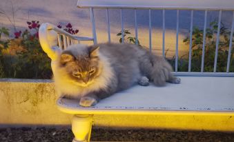 Xiamen Banxia Time Homestay (Zengcuo'an Huandao Beach Bathhouse Store)