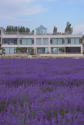 Huocheng Garden Homestay - Kæledyr tilladt