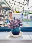 Delu Mengyu Homestay