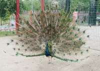 Kuitun Guochen Jiayuan Homestay