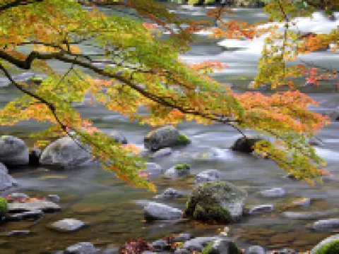 Yamanaka Onsen Kissho Yamanaka Hotels in Kaga