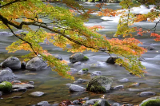 Yamanaka Onsen Kissho Yamanaka