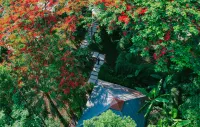 Bolian Resort & Spa Jingmai - bar