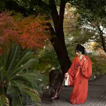 Wuzhen · FATE Jingzhiyuan Homestay (Xizha Scenic Area) Hotel Exterior