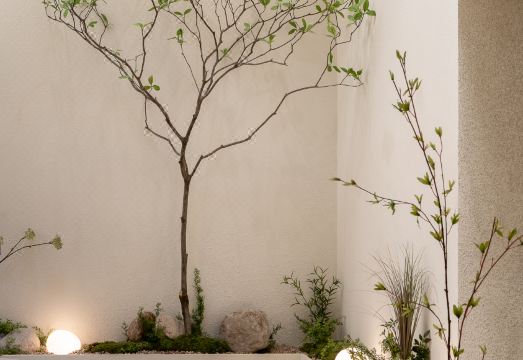 스테이사이 무료 라면 코너