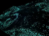 Pristine Mara Bay Lodge Hotel di Serena