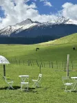 Lost Forest Homestay Hotels near Qiongkushitai Grassland in Xinjiang