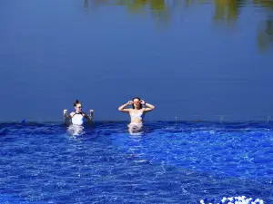 Rsun the Lakefort Hotel