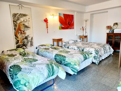 Family studio with AC, parking, terrace 600m RER B, direct to ND of Paris
