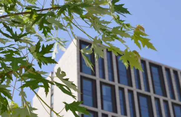 蠡縣中泰鈞沅酒店