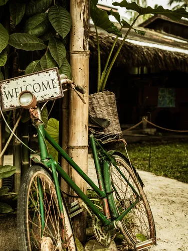 รูปภาพของไฮอะเวย์ เกาะหลีเป๊ะ