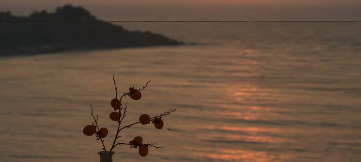 Golden Coast · Haitian Yunjing Homestay (Qing'ao Bay) Hotels in Nan'ao County