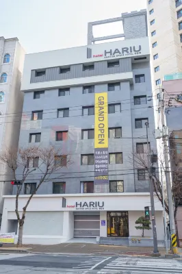 HOTEL HARIU - New