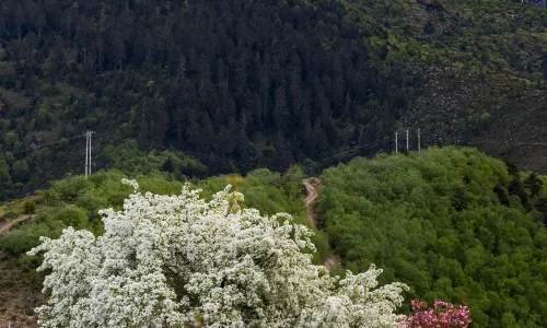 Shangri-La Qingyu·Jianshan Guipu Manor (Napahai Scenic Area Branch)