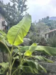 石語山居民宿（蒙山人家景區店） - 廚房