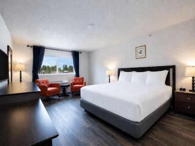 Hotel International