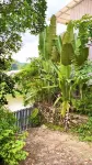 Luofushan Xingyue·Yunxi Beautiful Villa - Romantic