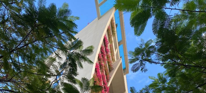 Sanya Conifer Resort Hotels in Sanya