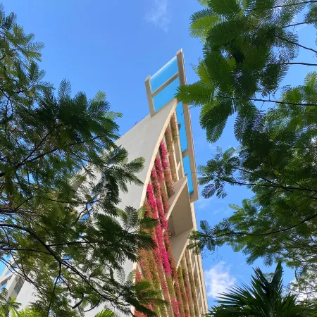 Sanya Conifer Resort