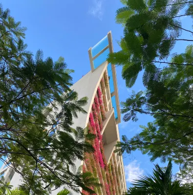 Sanya Conifer Resort - Ocean View
