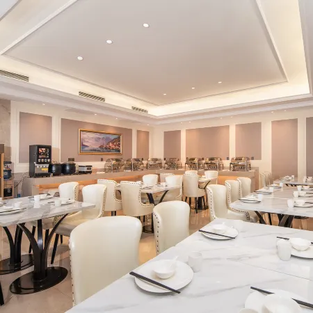 Vienna Hotel (Puding Xingbo International)