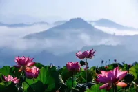 Home Inn Huayi Homestay (Sanming Jianning Jinma Paradise Branch)