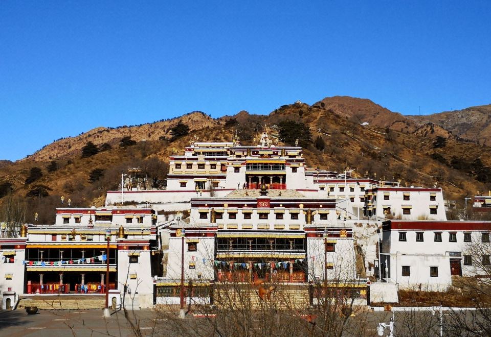3. Jinjiang..