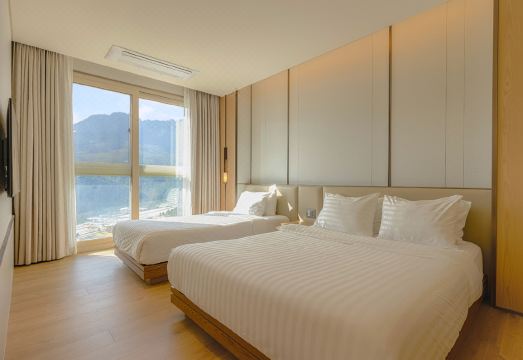 소노펠리체 델피노